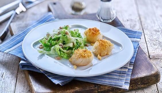 Puntarelle-Salat mit gratinierten Jakobsmuscheln